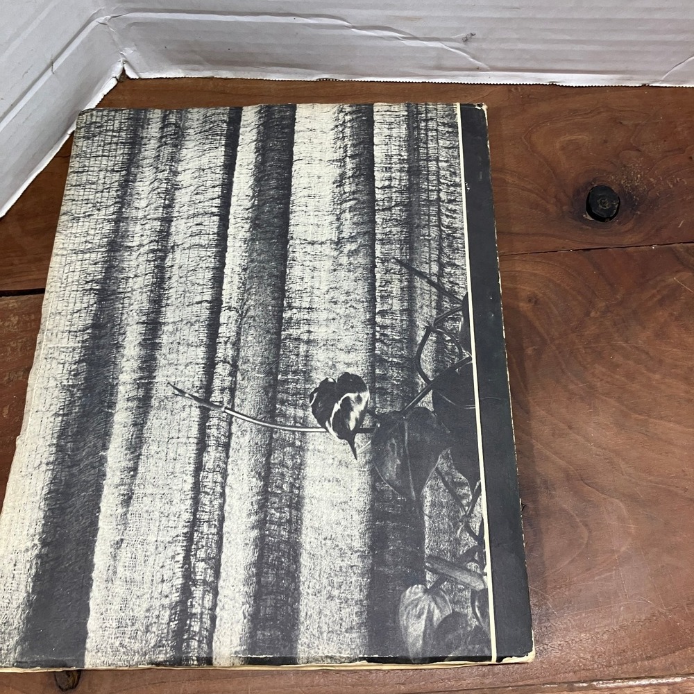 Architectural Digest Vol XIII No 2 1951 Interior Design Landscape John Brasfield - Picture 7 of 7